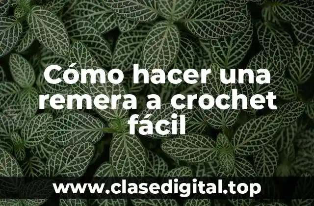Cómo hacer una remera a crochet fácil