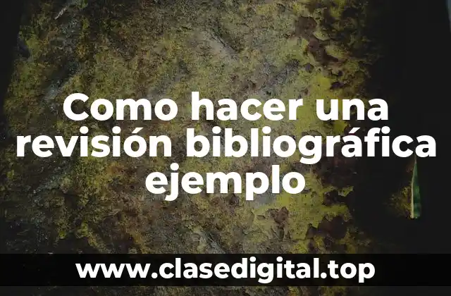 Como hacer una revisión bibliográfica ejemplo