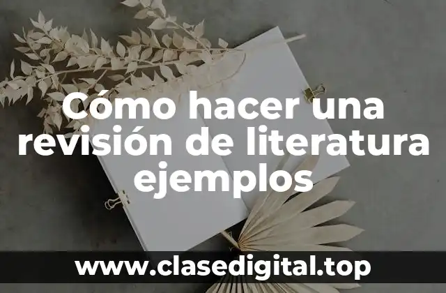 Cómo hacer una revisión de literatura ejemplos