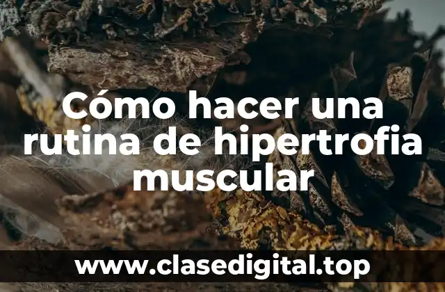 Cómo hacer una rutina de hipertrofia muscular