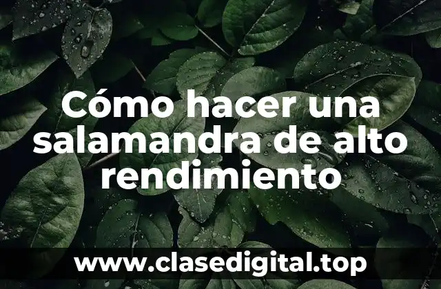 Cómo hacer una salamandra de alto rendimiento