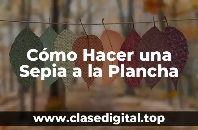 Cómo Hacer una Sepia a la Plancha