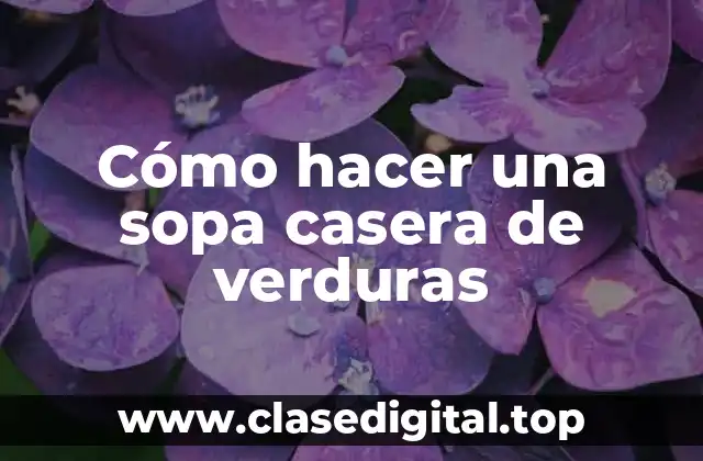 Cómo hacer una sopa casera de verduras