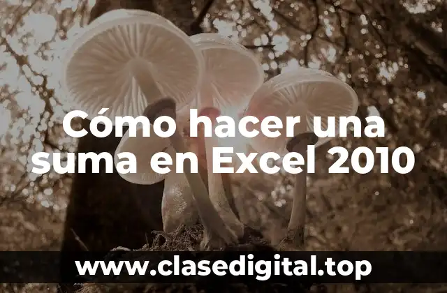 Cómo hacer una suma en Excel 2010
