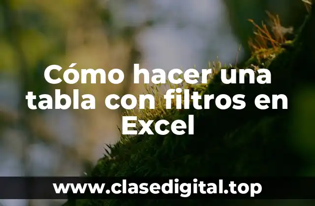 Cómo hacer una tabla con filtros en Excel