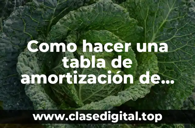 Como hacer una tabla de amortización de préstamos