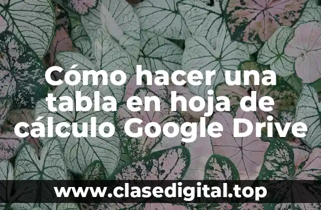Cómo hacer una tabla en hoja de cálculo Google Drive