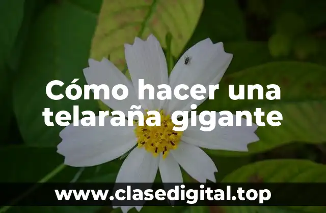 Cómo hacer una telaraña gigante