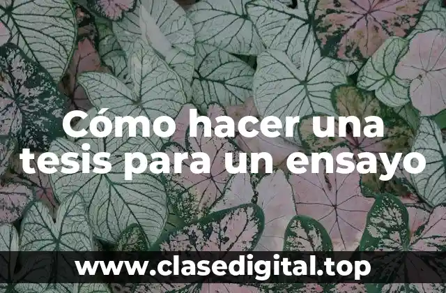 Cómo hacer una tesis para un ensayo