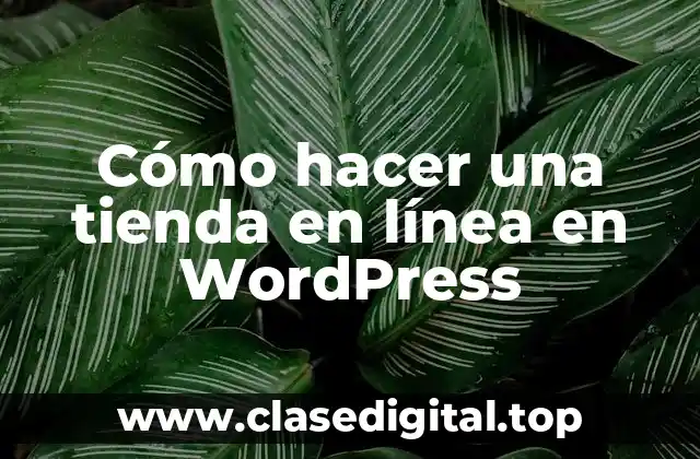 Cómo hacer una tienda en línea en WordPress