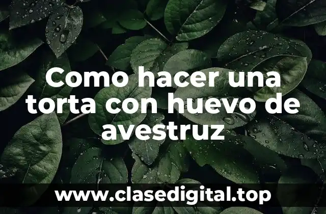 ¿Qué es un huevo de avestruz y cómo se utiliza en la cocina?