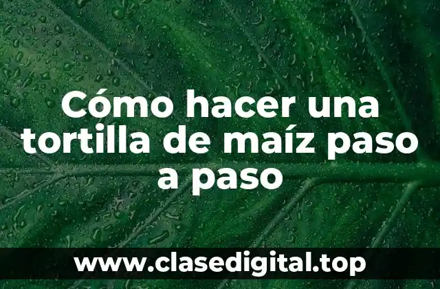 Cómo hacer una tortilla de maíz paso a paso