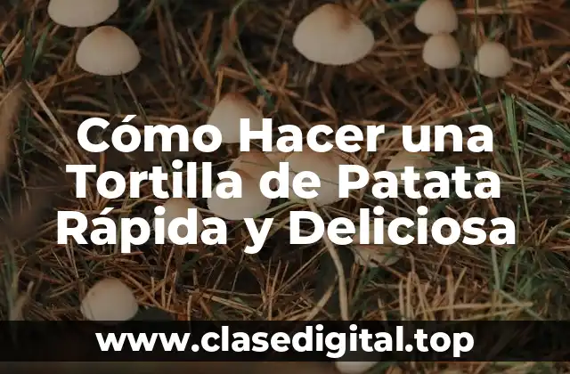 Cómo Hacer una Tortilla de Patata Rápida y Deliciosa