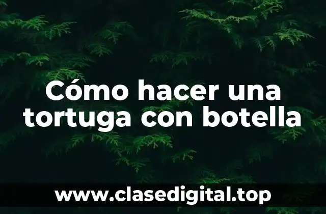 Cómo hacer una tortuga con botella