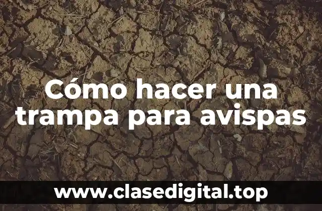 Cómo hacer una trampa para avispas