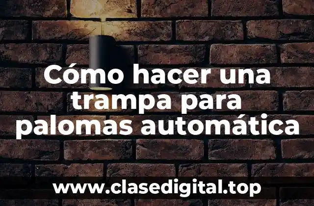 Cómo hacer una trampa para palomas automática