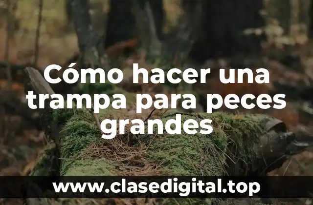 Cómo hacer una trampa para peces grandes
