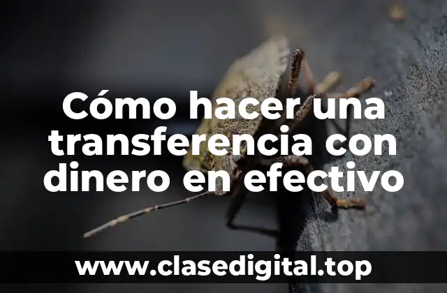 Cómo hacer una transferencia con dinero en efectivo