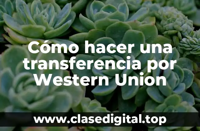 Cómo hacer una transferencia por Western Union