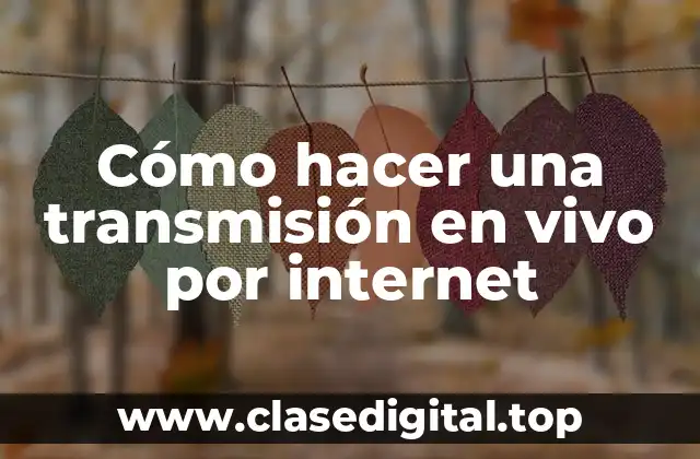 Cómo hacer una transmisión en vivo por internet