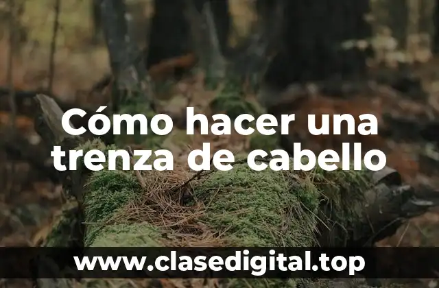 Cómo hacer una trenza de cabello