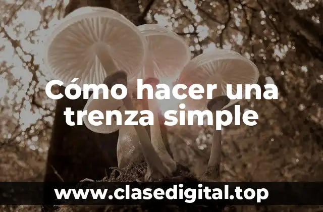 ¿Qué es una trenza simple y para qué sirve?