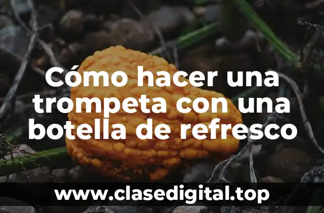 Cómo hacer una trompeta con una botella de refresco