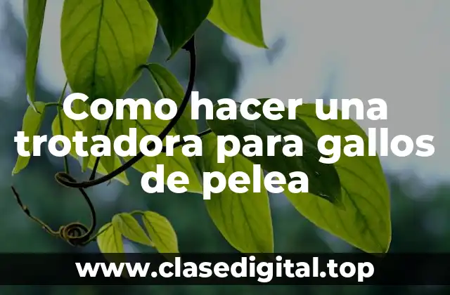 Como hacer una trotadora para gallos de pelea