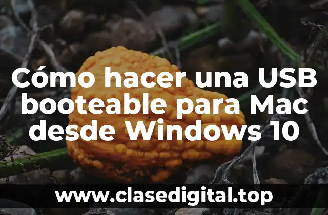 Cómo hacer una USB booteable para Mac desde Windows 10