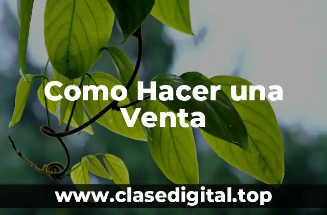 Como Hacer una Venta