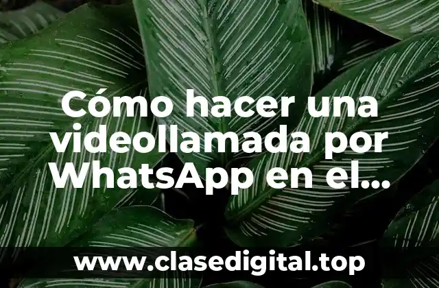 Cómo hacer una videollamada por WhatsApp en el ordenador