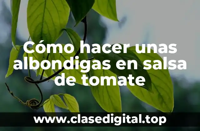 Cómo hacer unas albondigas en salsa de tomate