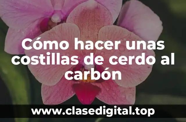 Cómo hacer unas costillas de cerdo al carbón