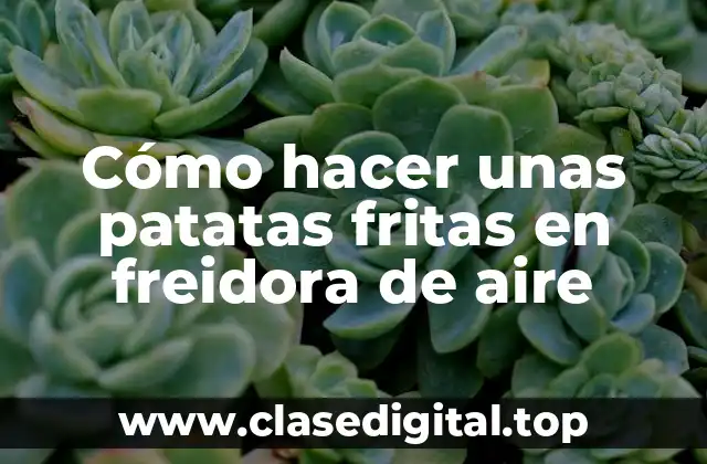 Cómo hacer unas patatas fritas en freidora de aire
