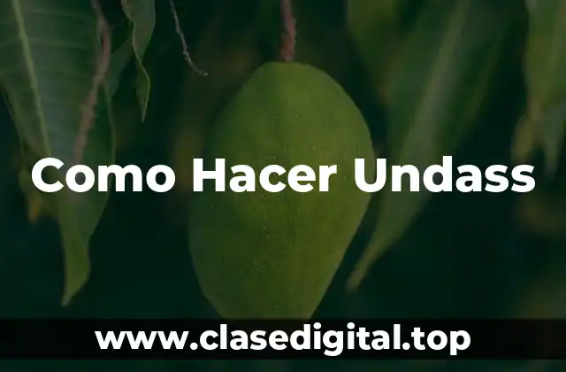 Qué son Undass y para Qué Sirven