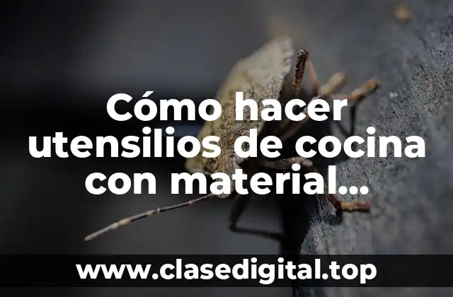 Cómo hacer utensilios de cocina con material reciclado para niños