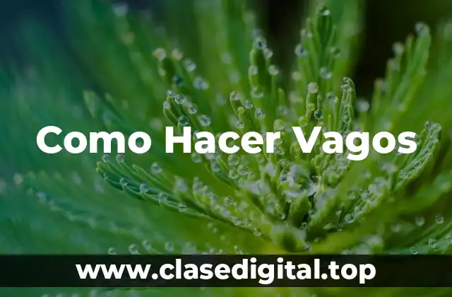 Como Hacer Vagos