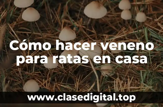 Cómo hacer veneno para ratas en casa