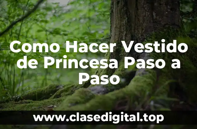 Como Hacer Vestido de Princesa Paso a Paso