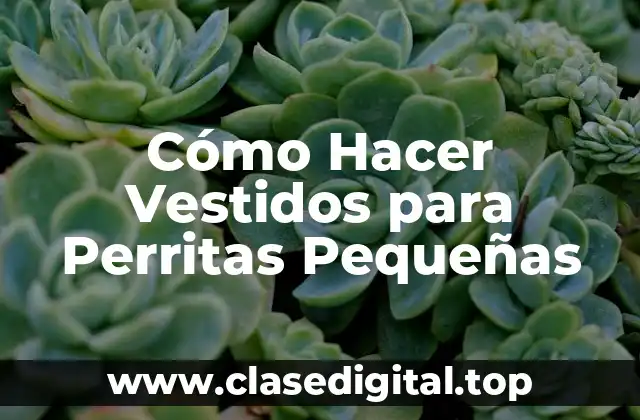 Cómo Hacer Vestidos para Perritas Pequeñas