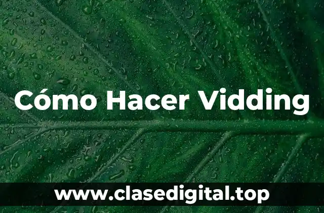 Cómo Hacer Vidding