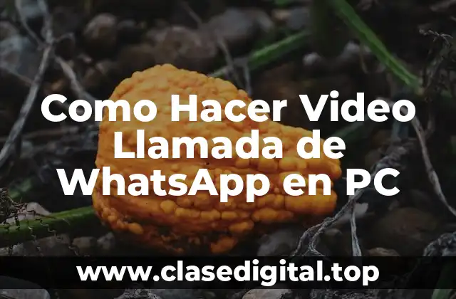 ¿Qué es WhatsApp y cómo se utiliza?