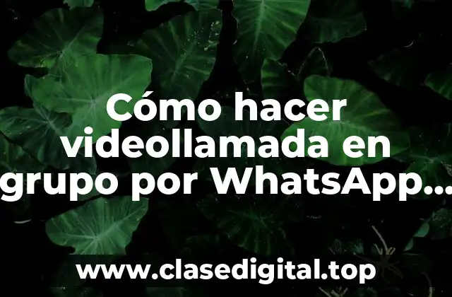Cómo hacer videollamada en grupo por WhatsApp Web