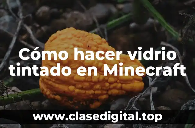 Cómo hacer vidrio tintado en Minecraft
