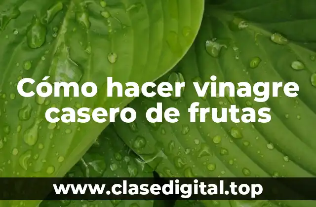 Cómo hacer vinagre casero de frutas