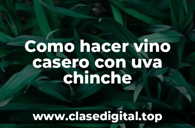 Como hacer vino casero con uva chinche