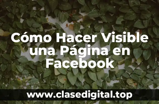 Cómo Hacer Visible una Página en Facebook
