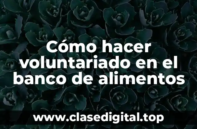 Cómo hacer voluntariado en el banco de alimentos