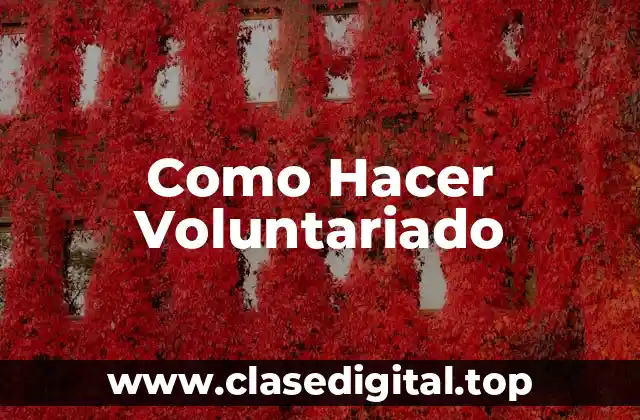 Como Hacer Voluntariado