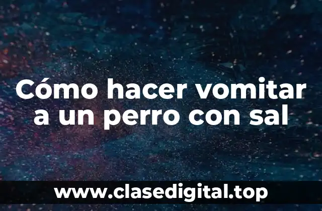 Cómo hacer vomitar a un perro con sal